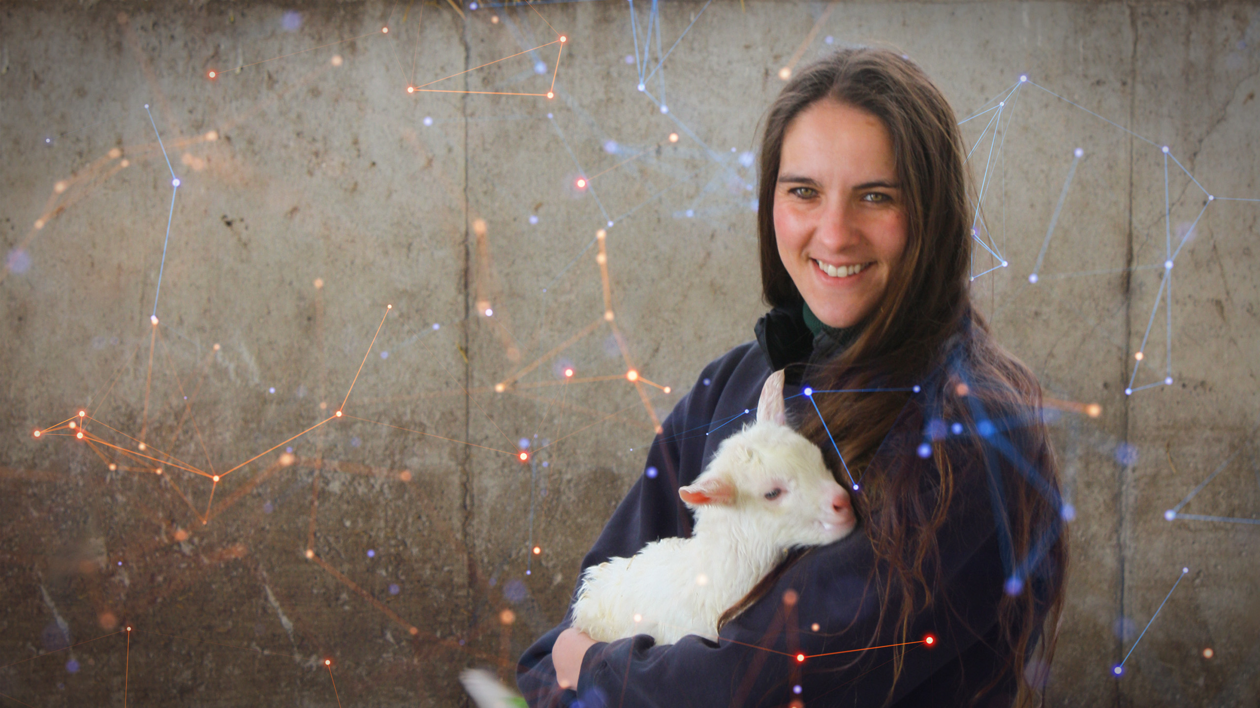 Embracing AgTech One Farm’s Innovation Story WS